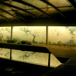 panoramica mural piscina noche